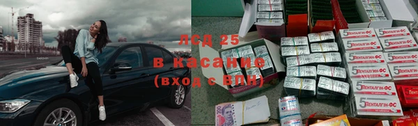 стаф Медногорск