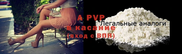 стаф Медвежьегорск