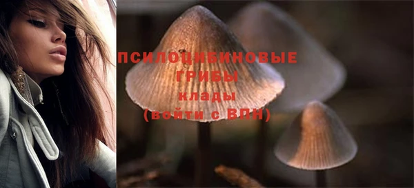 ешки Долгопрудный