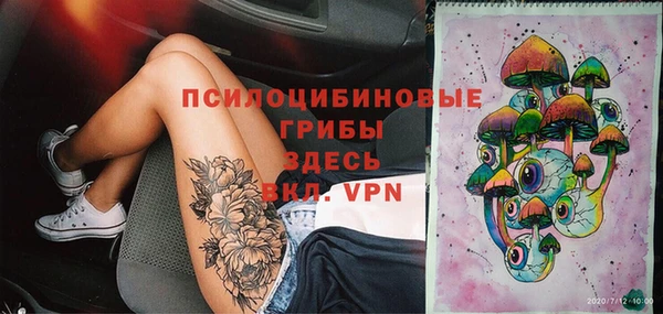 стаф Медногорск