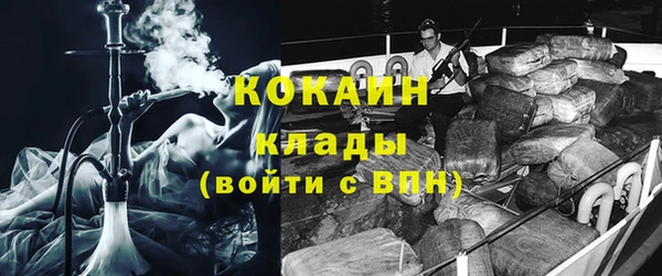 стаф Медногорск