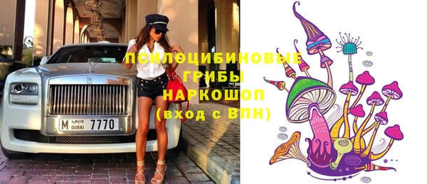 стаф Медногорск