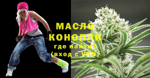 стаф Медногорск