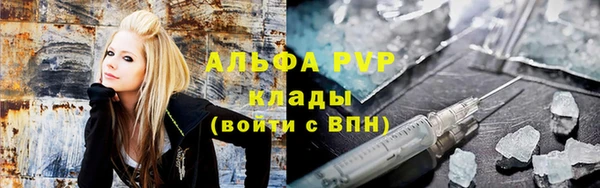 стаф Медвежьегорск