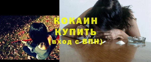 стаф Медногорск