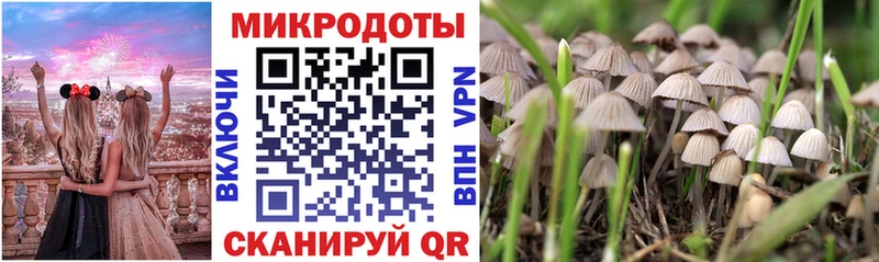 купить Кудымкар Галлюциногенные грибы MAGIC MUSHROOMS
