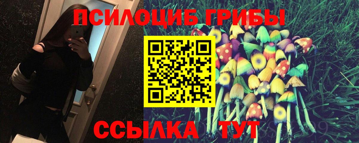 Псилоцибиновые грибы Cubensis Кудымкар